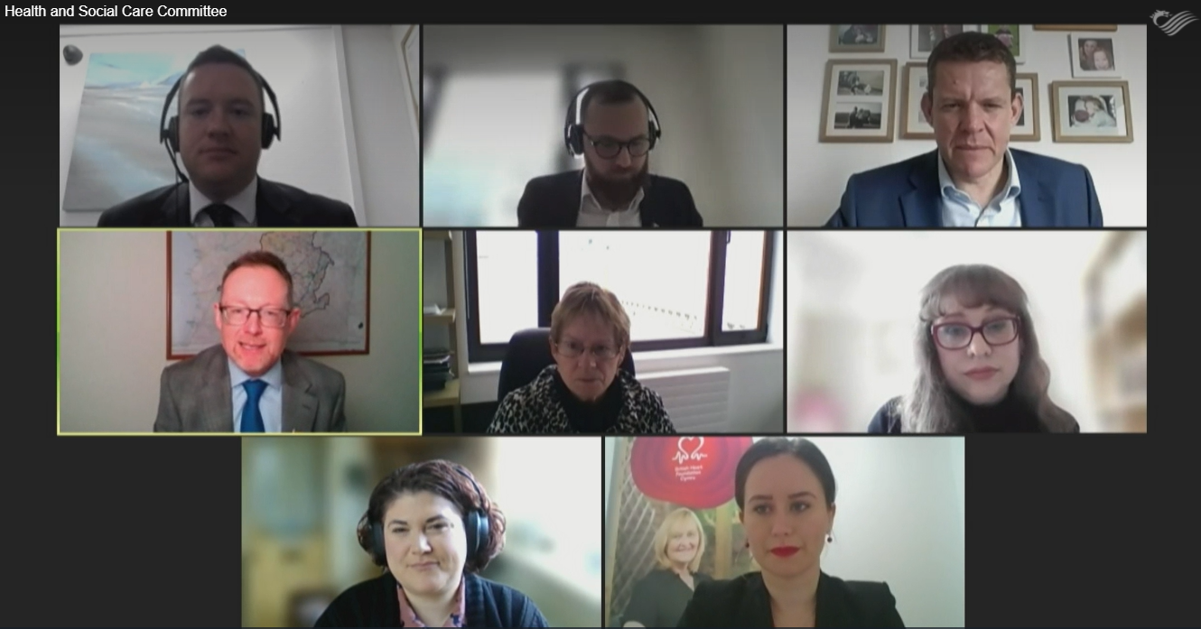 A screengrab from the online meeting of FTWW, BHF and the Senedd's Health and Social Care Committee
