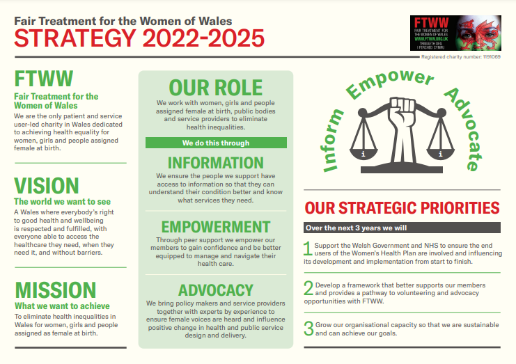 A screenshot of the FTWW Strategy