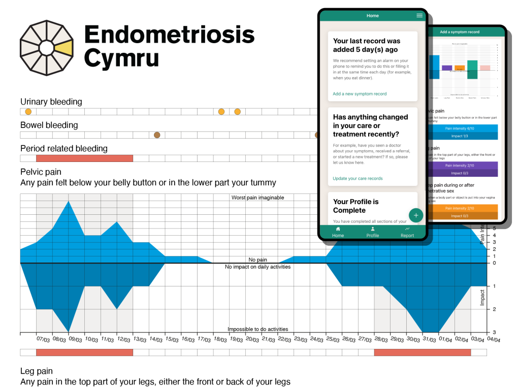 The Endometriosis Cymru Symptom Reporting Tool